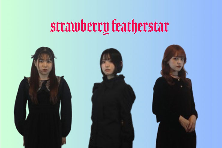 STRAWBERRY FEATHERSTAR